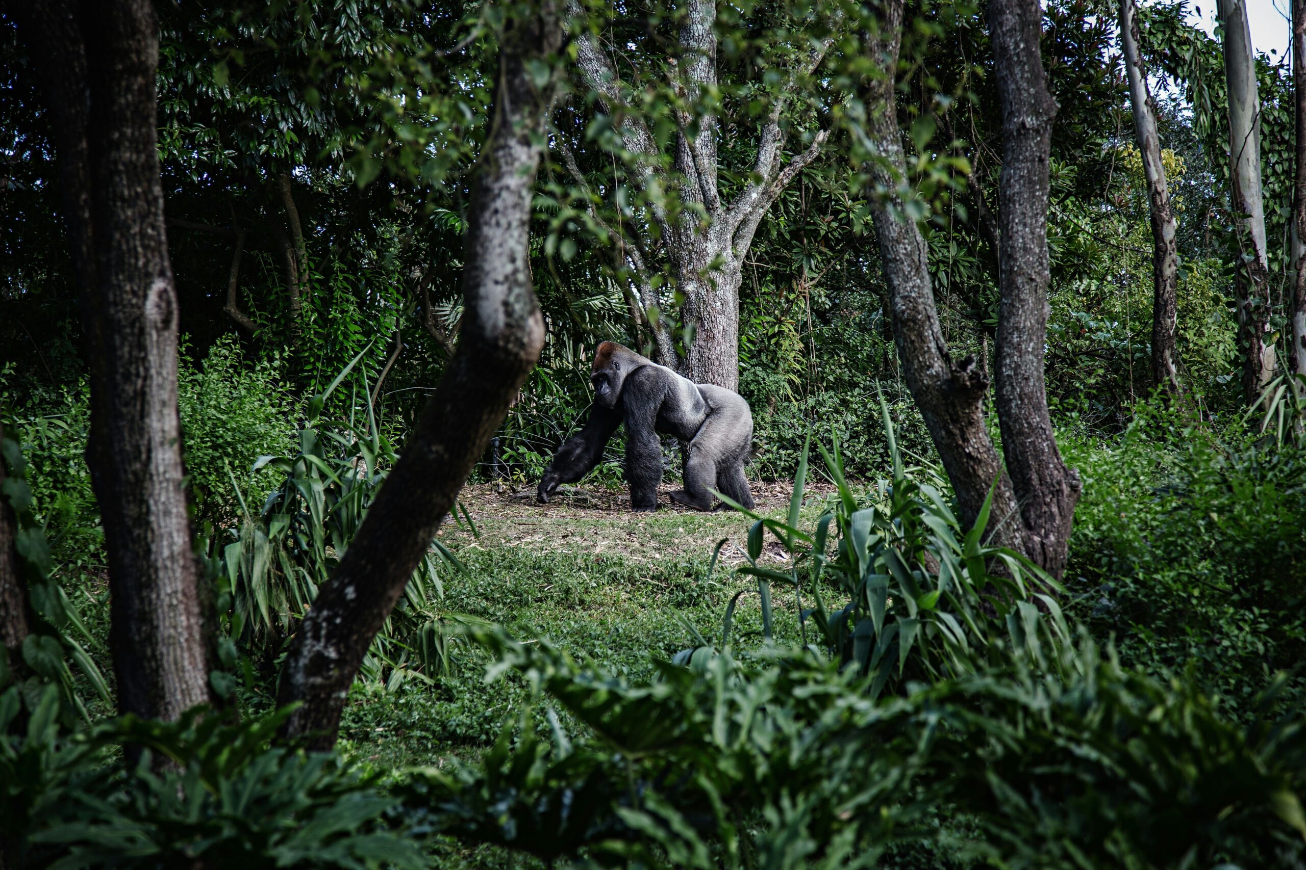 mike-arney-rJ5vHo8gr2U-unsplash